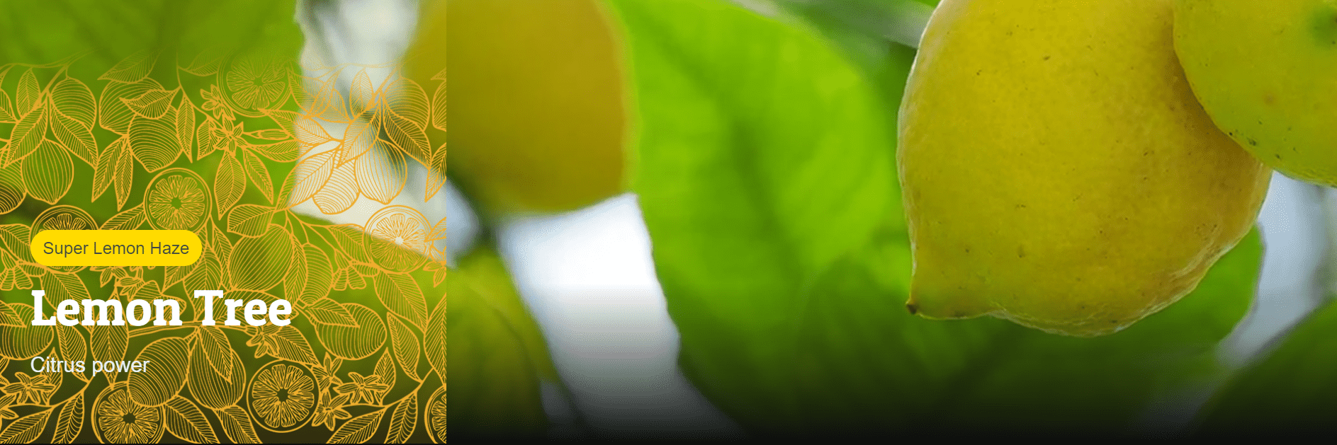 Cartridge Happease® Lemon Tree 85 CBD 2ks | Upinsmoke.cz